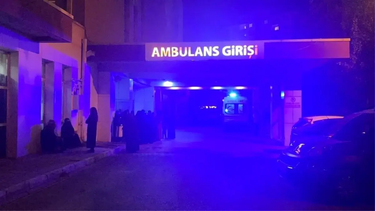 Muş’ta Yıldırım Faciası: Çoban Hayatını Kaybetti