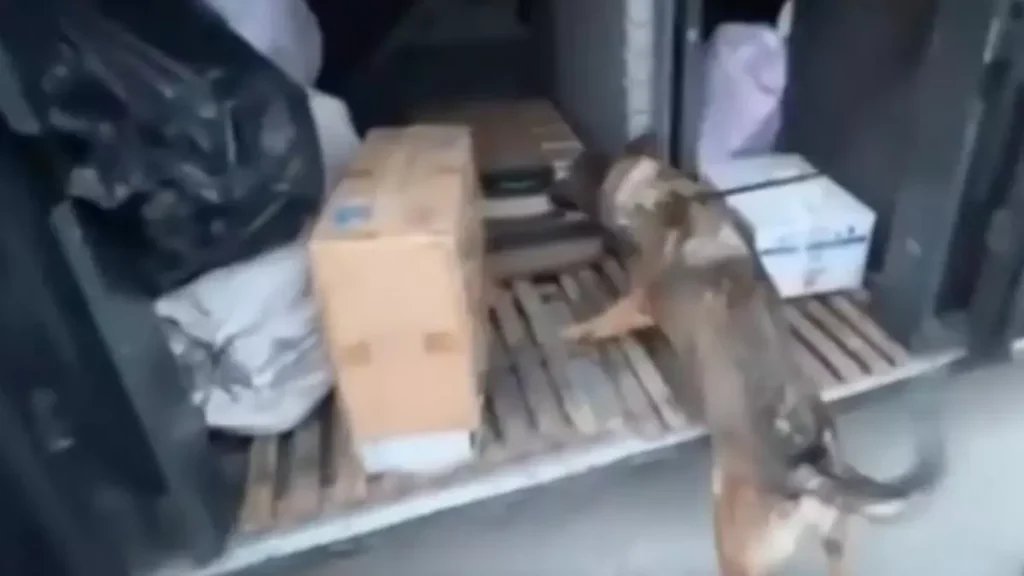 Erzincan’da Kaçak Sigara ve Elektronik Sigara Operasyonu