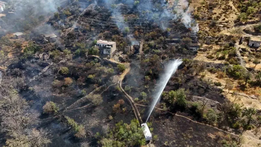 Talas’ta Patlıcan Közlerken Ormanyaktı, Şüpheli Yakalandı