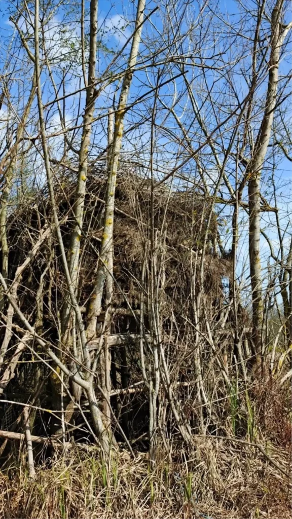 Kaçak Avcılıkla Mücadele: 6 Avcı Kulübesi İmha Edildi