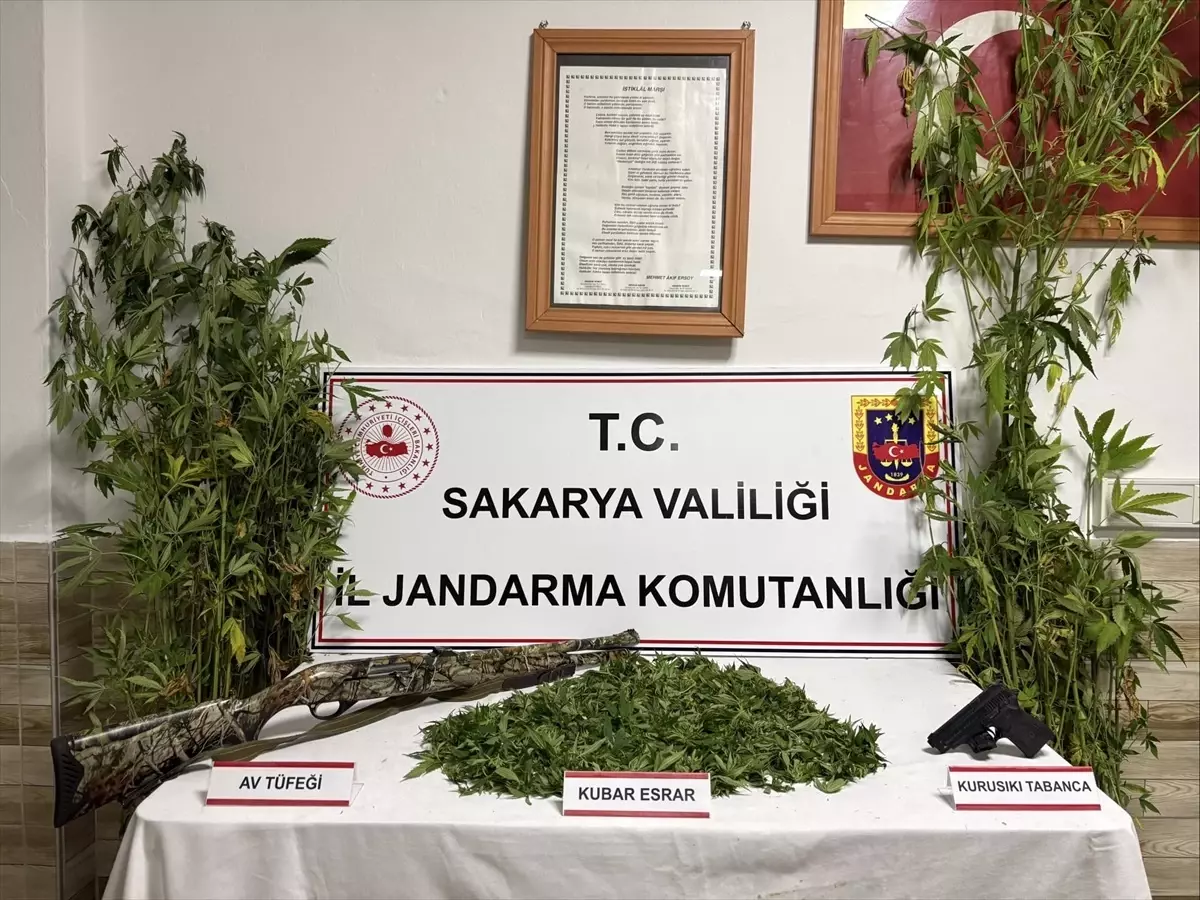 Uyuşturucu Operasyonunda 1 Zanlı Tutuklandı