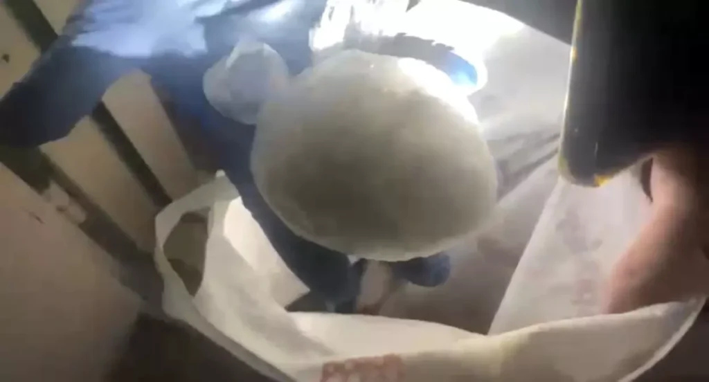 Samsun’da Uyuşturucu Operasyonu: 183,8 Gram Metamfetamin Ele Geçirildi