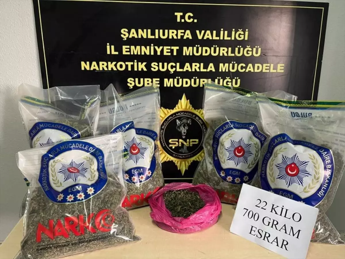 Şanlıurfa’da 22 Kilo Esrar Ele Geçirildi