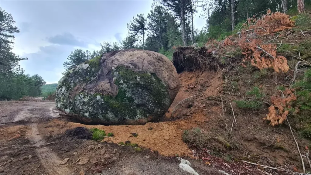 Deprem Sonrası Kaya Düşmesiyle Yol Kapatıldı