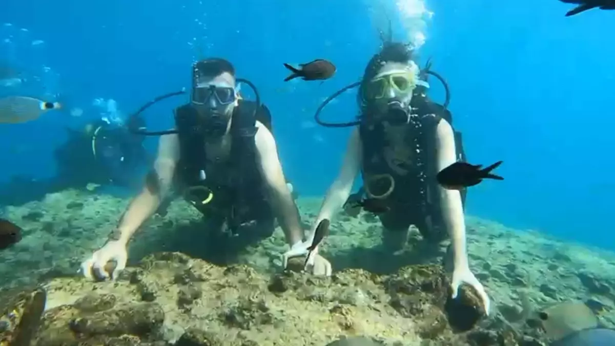 Sualtı Planı: Evet Cevabı ve Yüzük