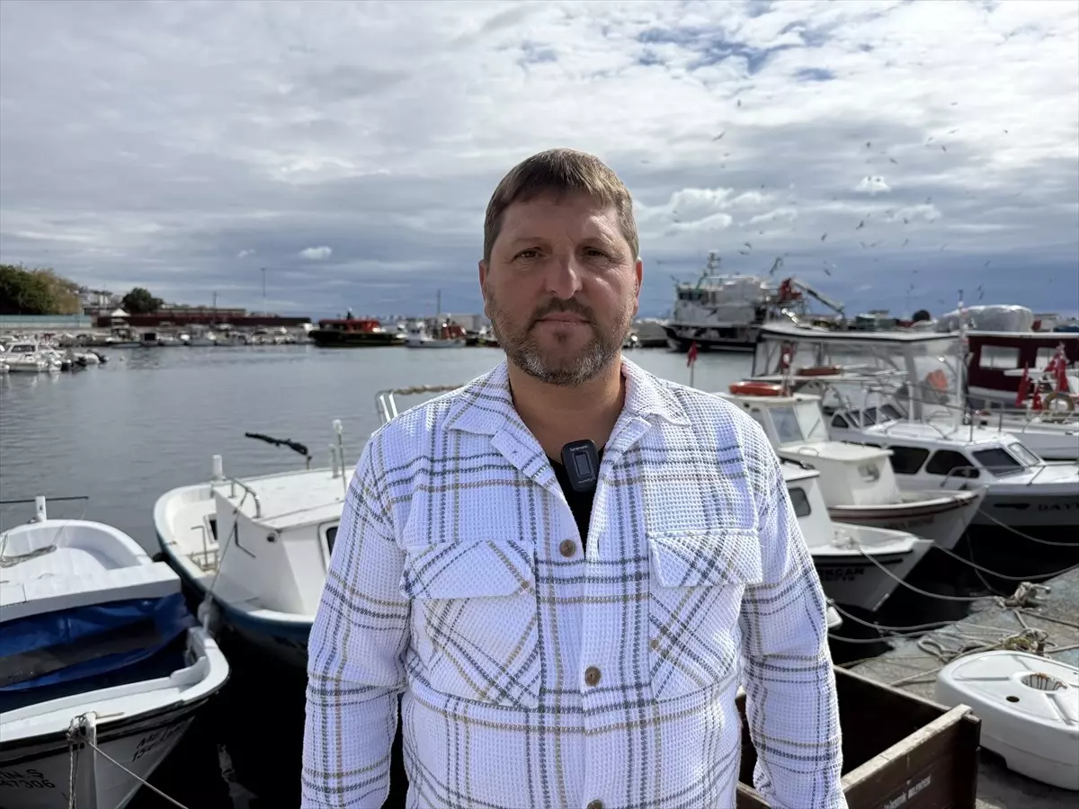 Marmara Denizi’nde İstavrit Bolluğu