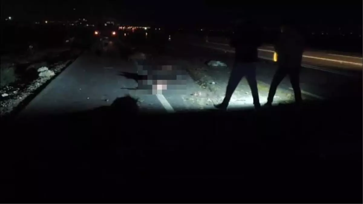 Hayvan Sürüsüne Tır ve Araç Çarptı: 37 Hayvan Öldü