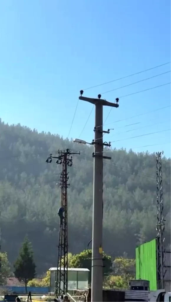 Trafik Cezası Öfkesi: Sürücü Elektrik Direğine Çıktı