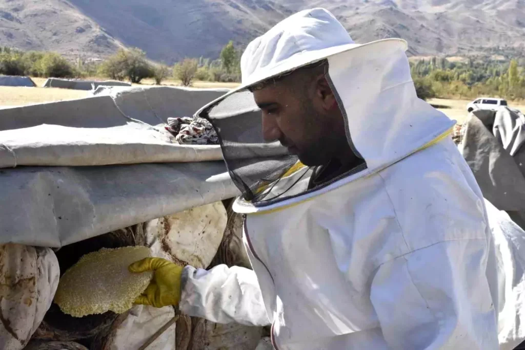 Bitlis Karakovan Balı Hasadı Başladı