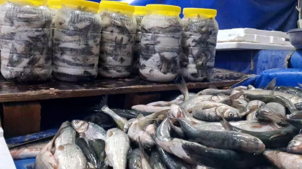 Van Gölü’nün İnci Kefali Tezgahlarda Yerini Aldı