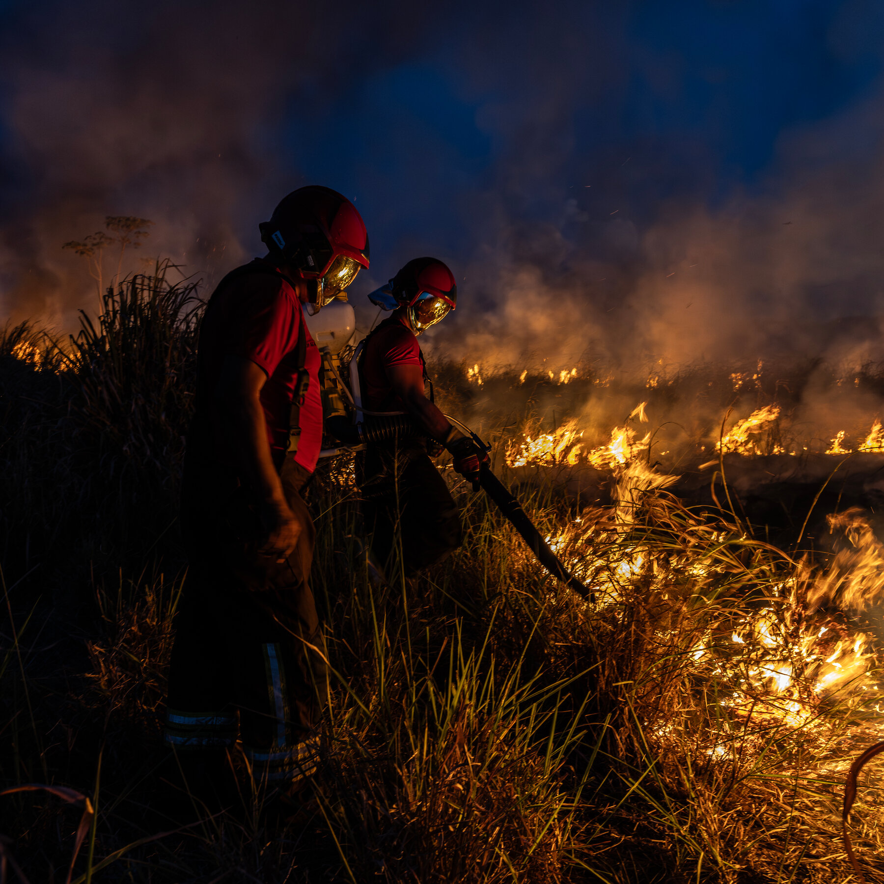 Stopping the Greatest Threat to the Amazon, One Fire at a Time