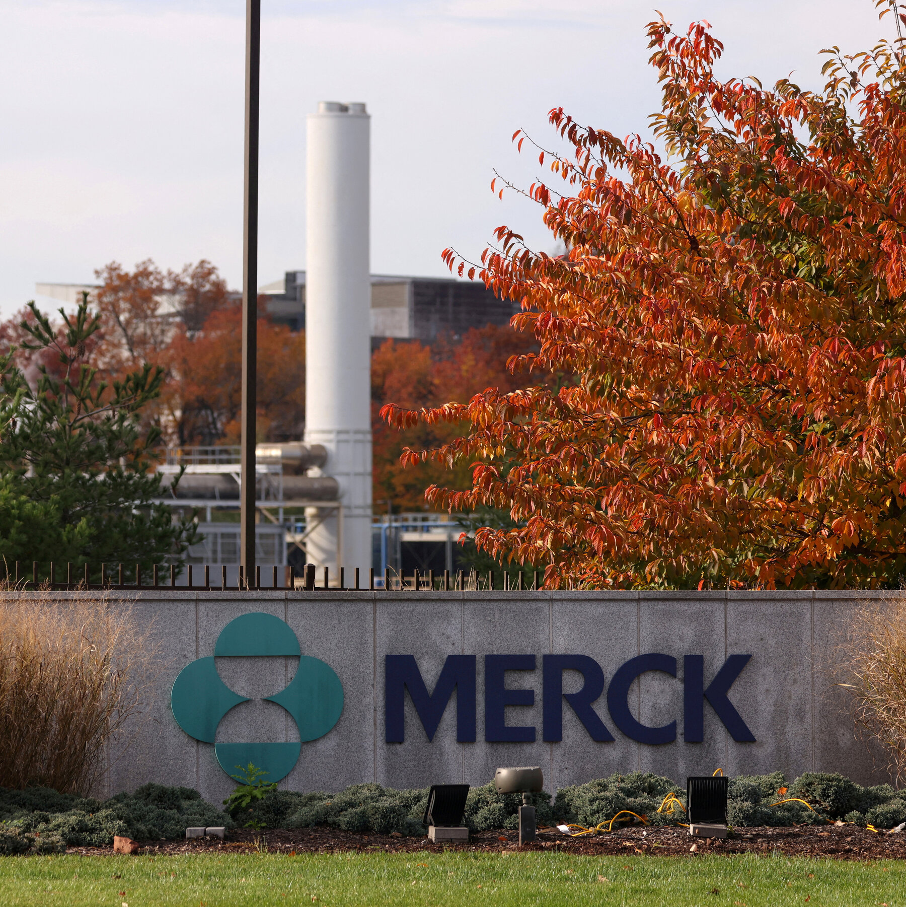 Merck’s Oral PCSK9 Inhibitor Shows Promise for Ultra‑Low Cholesterol Levels