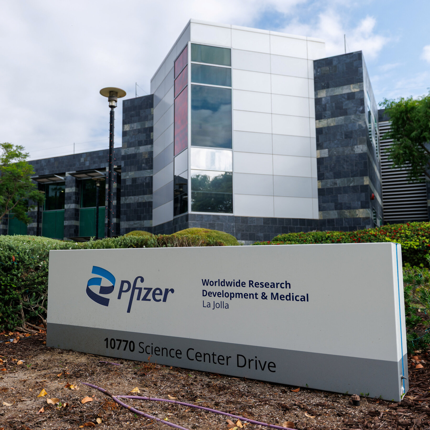 Pfizer Secures $10 Billion Deal to Acquire Obesity‑Focused Start‑Up Metsera, Ending Rivalry With Novo Nordisk