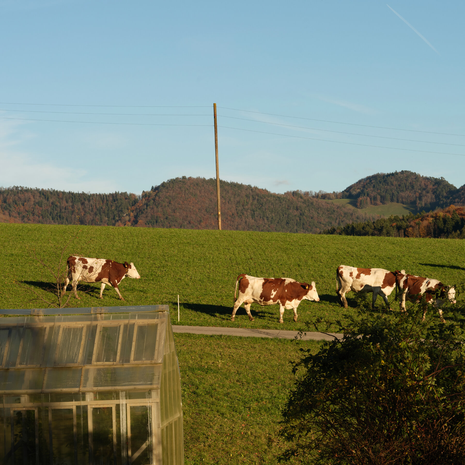 Switzerland Secures Deal with the United States to Lower Tariffs to 15%