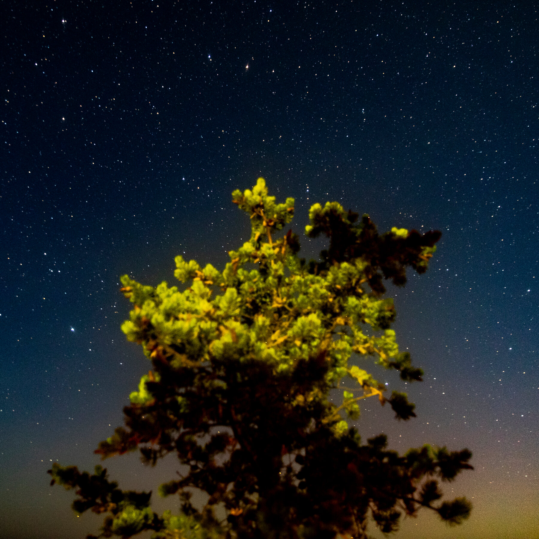 In Michigan’s Upper Peninsula, Locals Fight for “The Right to Night”