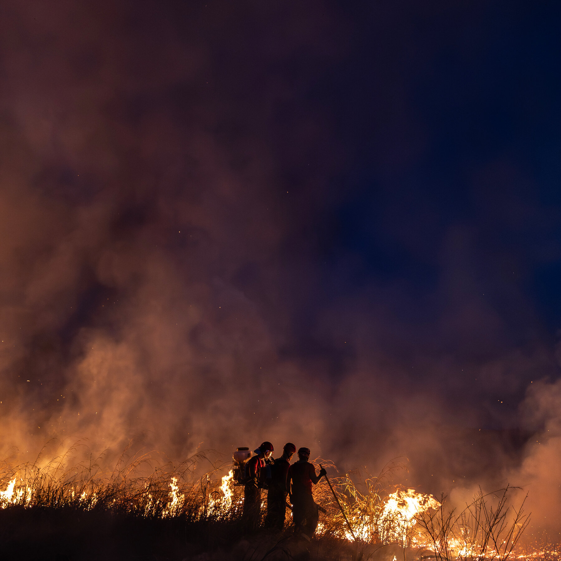 Tentative Signs of Hope as the Amazon Burns
