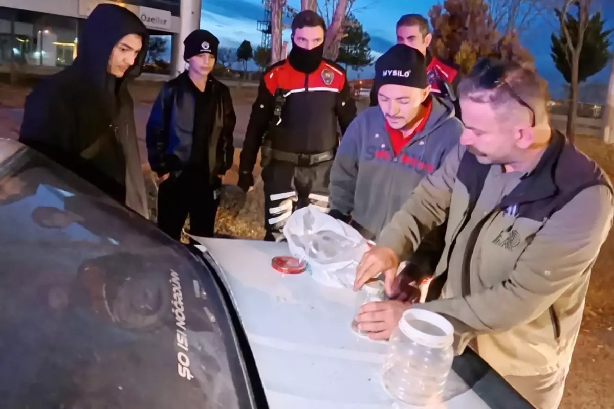 Aksaray’da Yasak Akrep Satışına Dev Operasyon