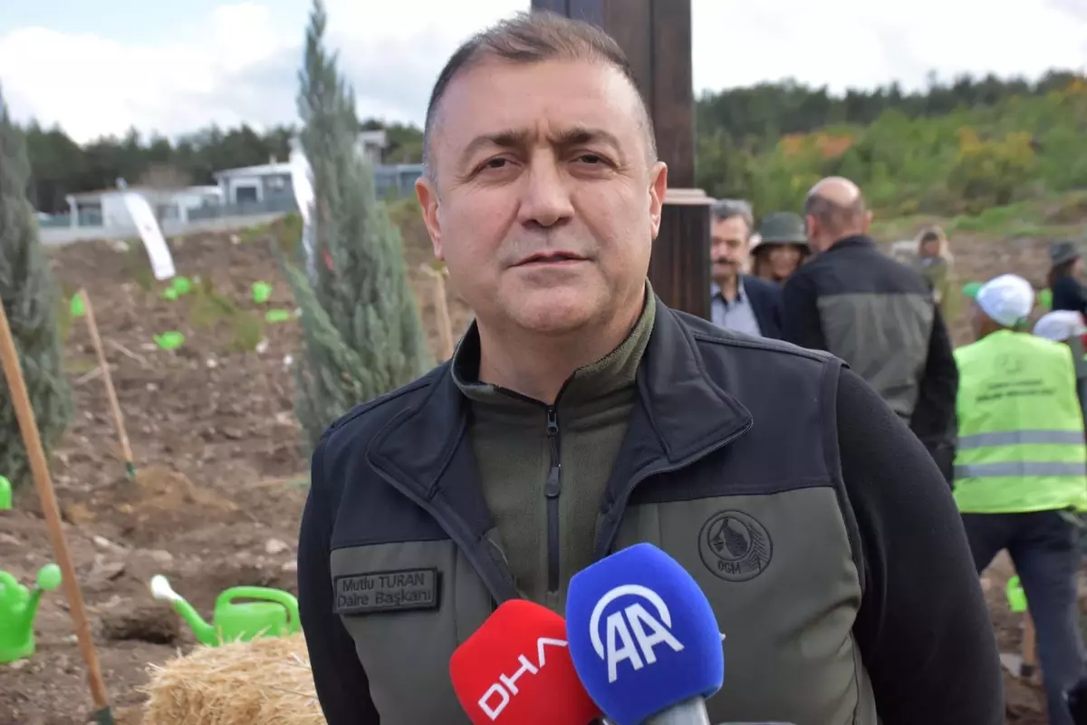 ALJ Türkiye’nin Ağaçlandırma Seferberliği İzmir Buca’da 310 Bin Fidanla Başladı