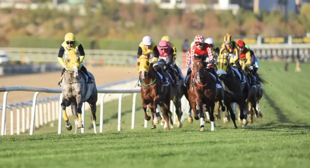 AT Yarışları Sezonu Muhteşem Bir Final Yaptı