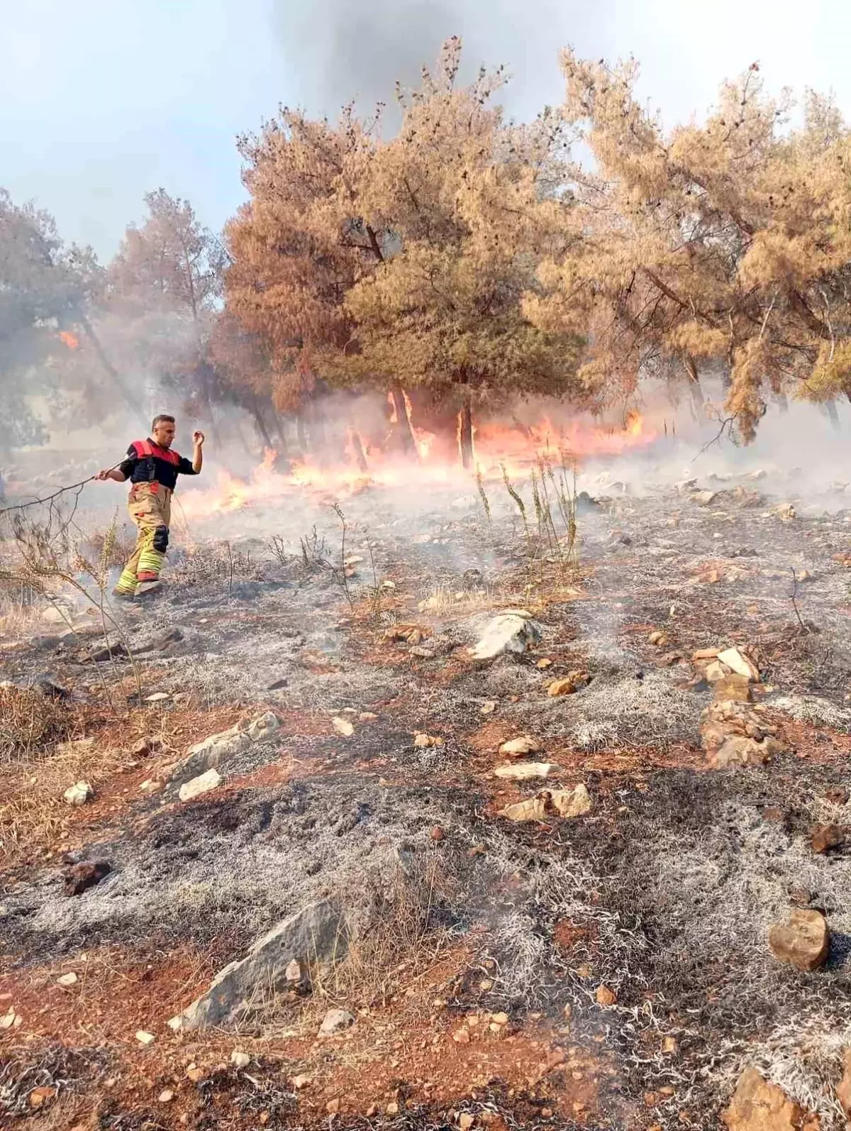 Hatay’da Orman Yangını Kontrol Altına Alındı