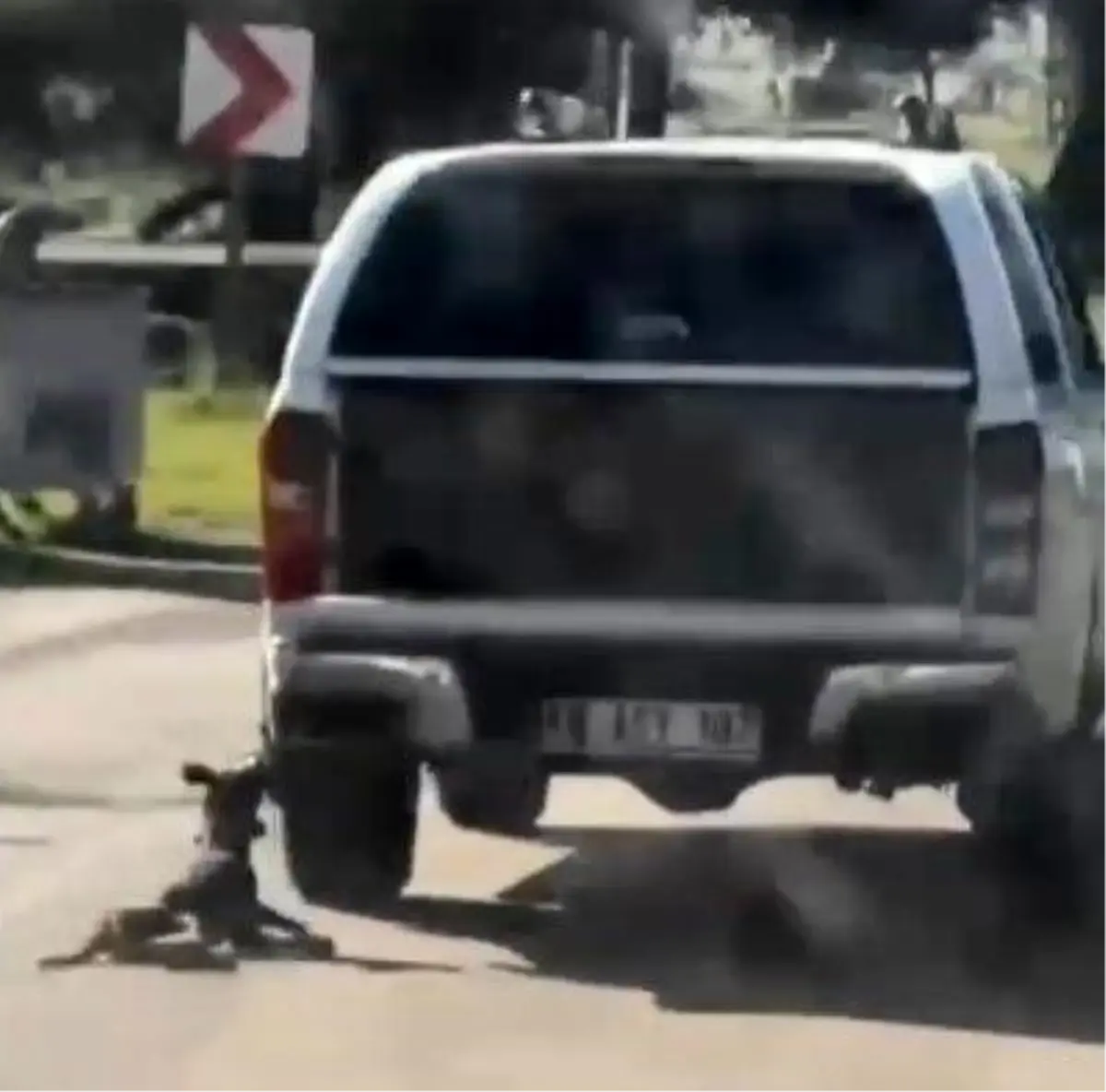 Köpeği Sürükleyen 2 Şüpheli Gözaltında