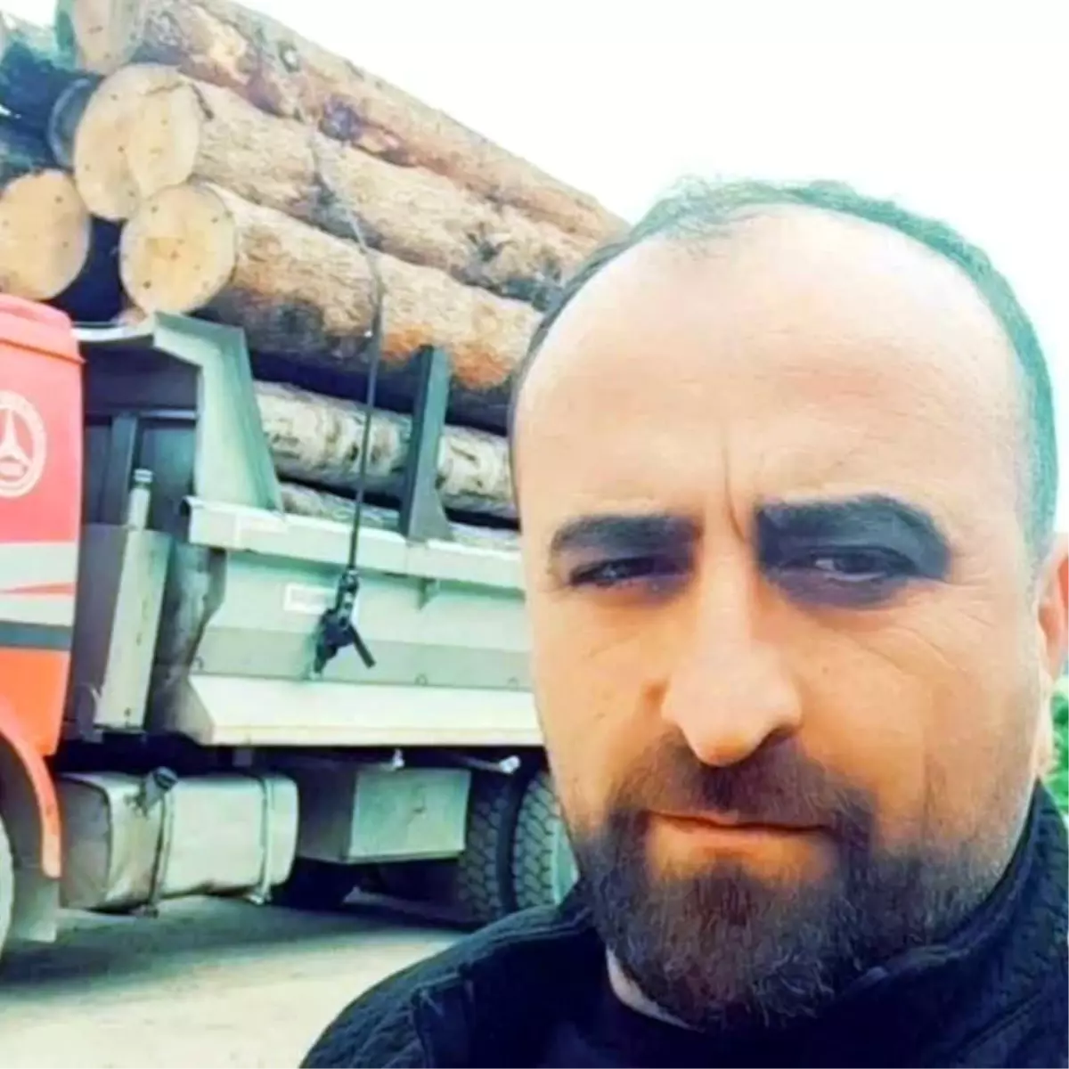 Artvin’de Ağaç Devrilmesi: Bir Kişi Hayatını Kaybetti