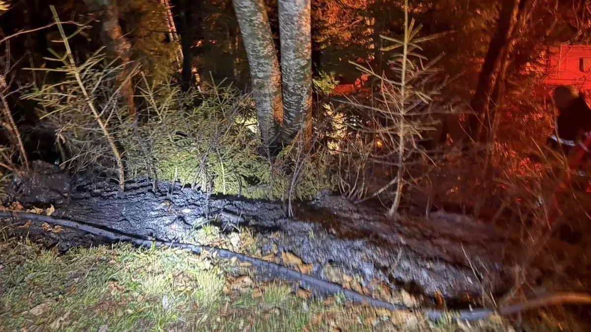 Artvin’de Ziraat Alanında Yangın Kontrol Altına Alındı