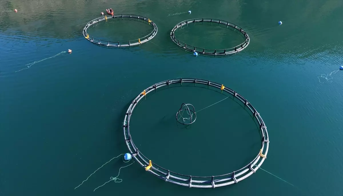 Artvin’den 67 Ülkeye Türk Somonu İhracı