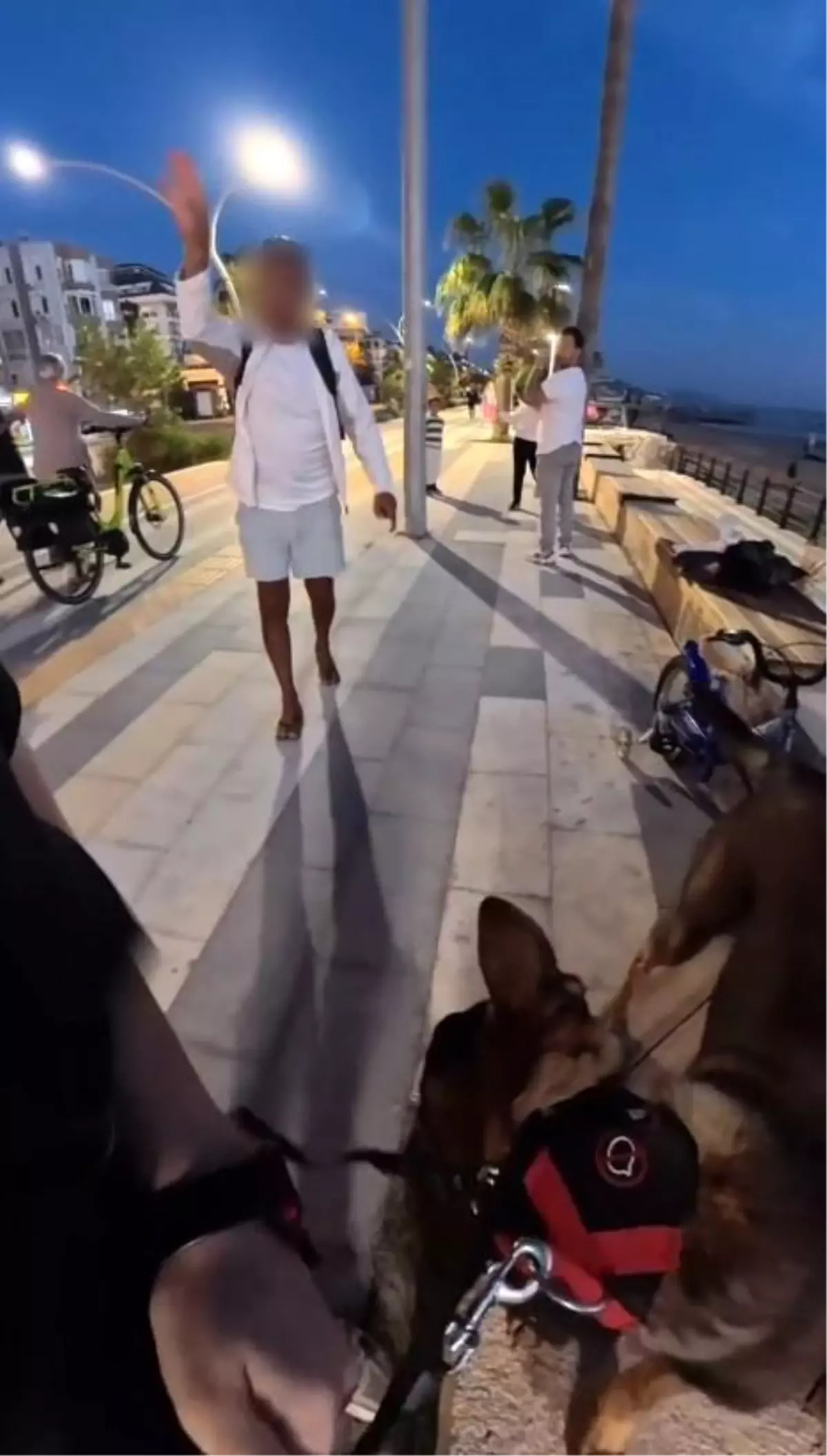 Alanya’da Köpeği Tehdit Eden Alkollü Şahıs