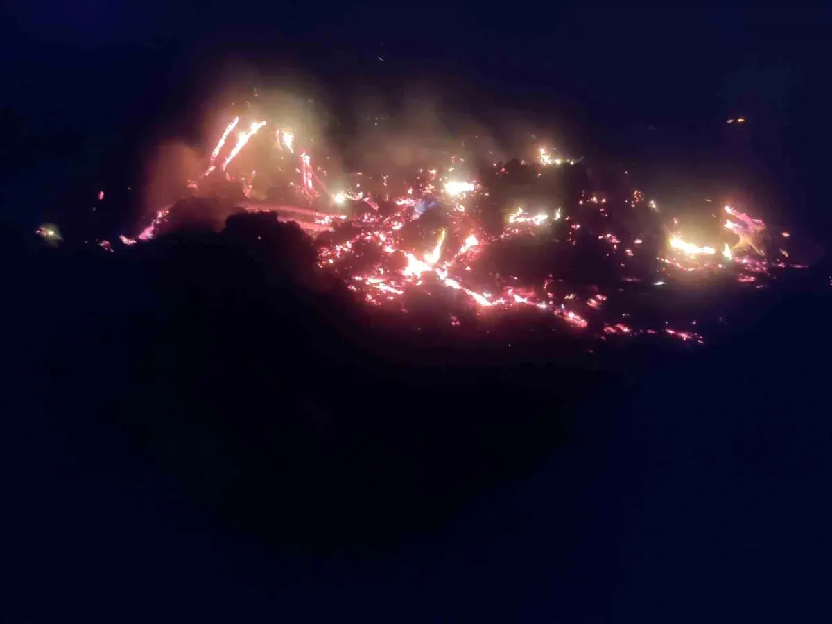 Bilecik’te Kontrollü Yanma Çabası Rüzgarla Alev Aldı: Hızlı Müdahale Sonrası Yangın Kontrol Altına Alındı