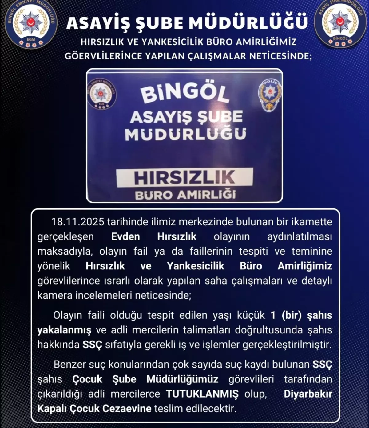 Bingöl’de Hırsızlık Şüphelisi Tutuklandı