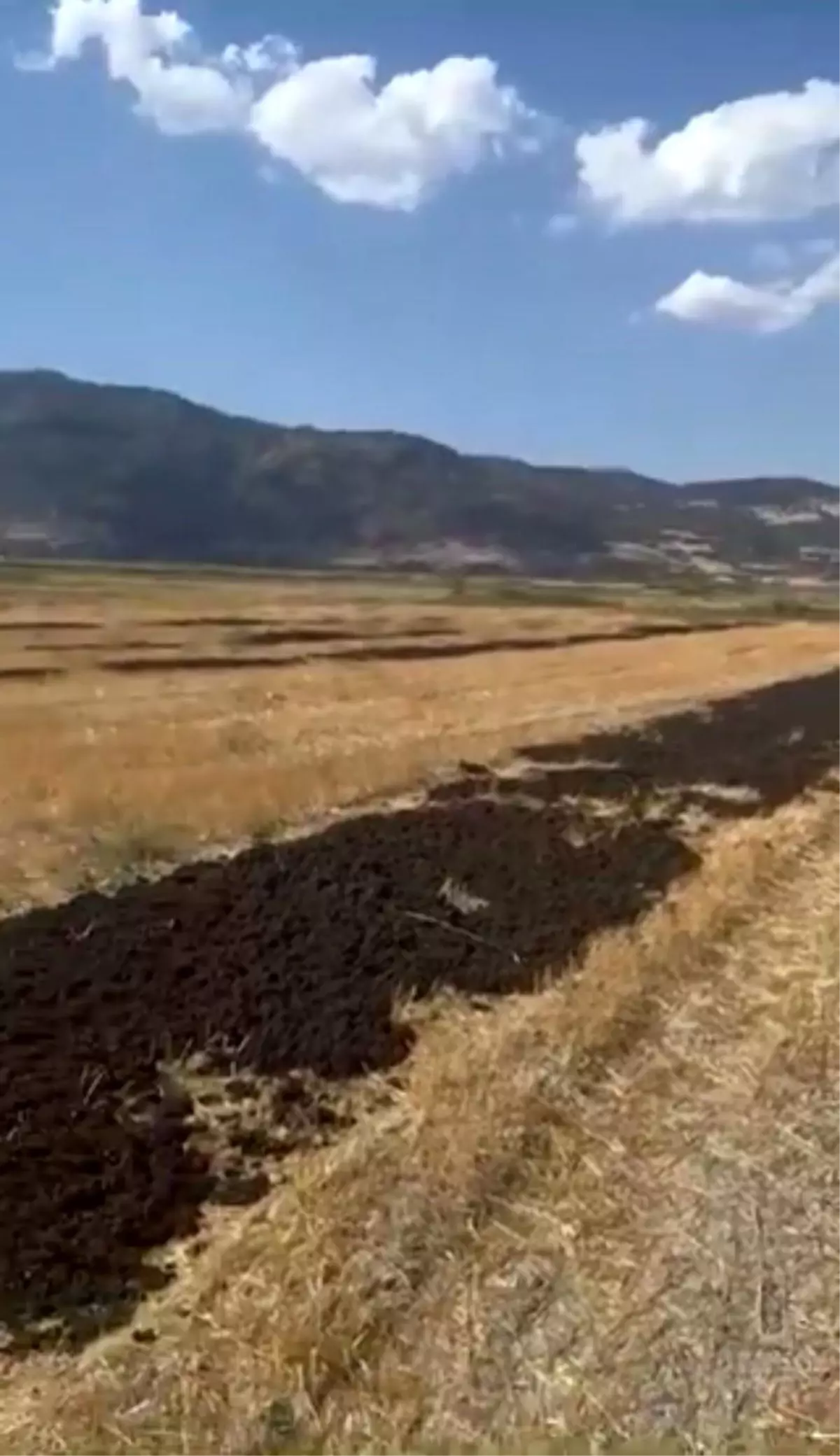 Burdur’da Arıtma Çamuru Dökülmesi Üzerine 48 Milyon Lira Ceza Kesildi