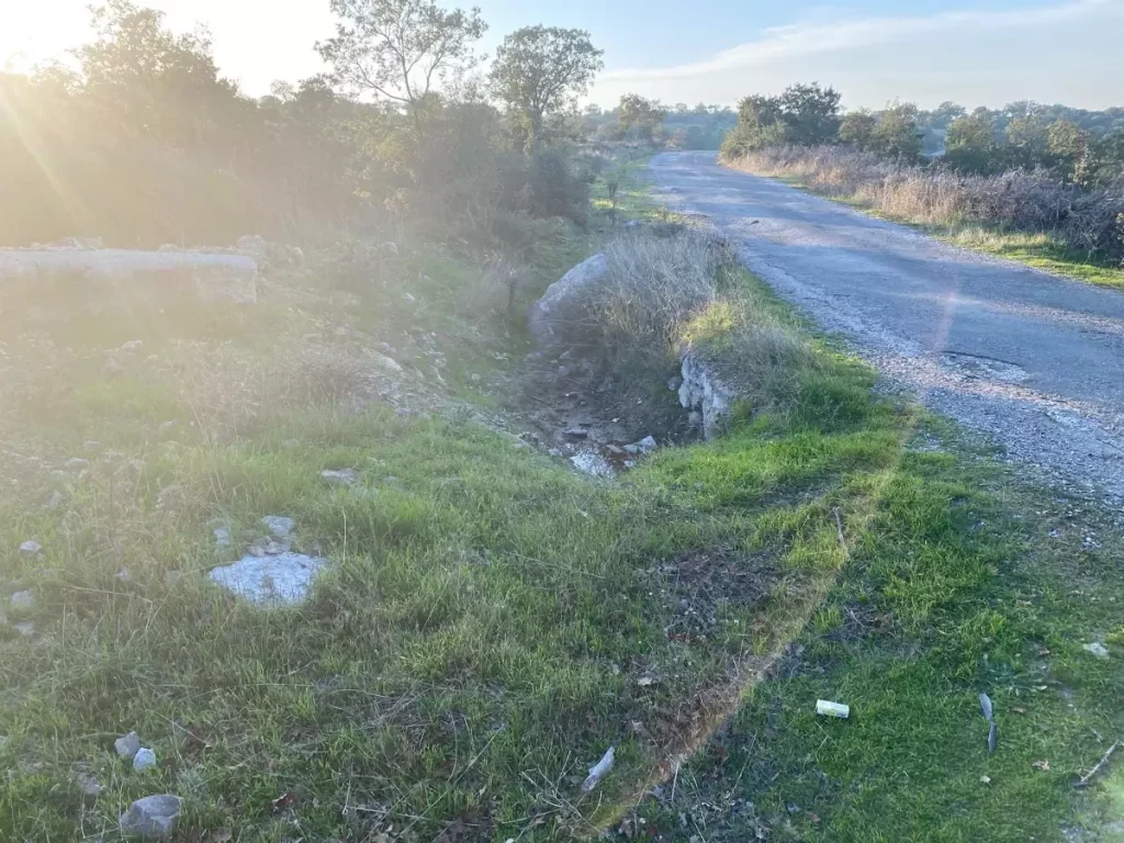 Yeni Doğan Kız Bebek Cesedi Bulundu