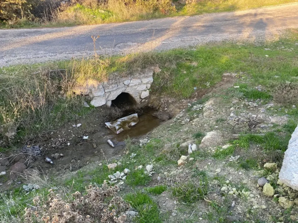 Yeni Doğan Kız Bebek Cesedi Bulundu