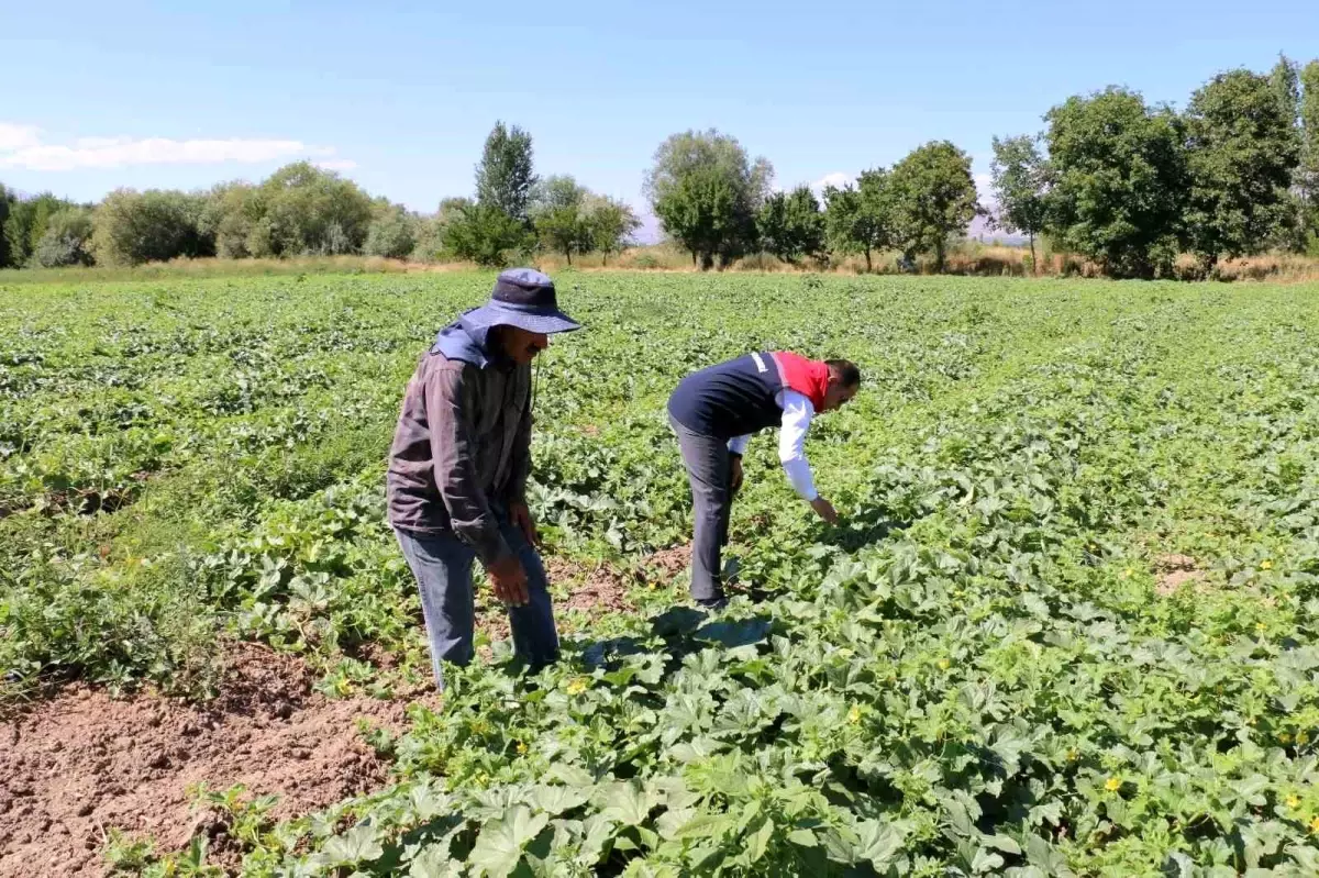 Erzincan’da ÇKS Başvuru Süreci Son Çanına Çalıyor