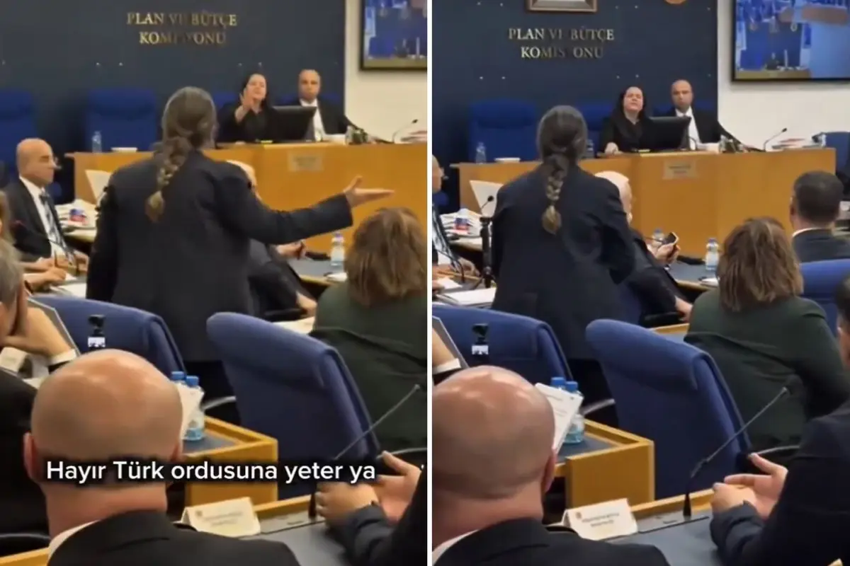 DEM Partili Sümeyye Boz’un ‘Tecavüz’ İddiaları ve İYİ Parti Ayyüce Türkeş Taş’ın Sert Çıkışı TBMM’de Gündemi Salladı