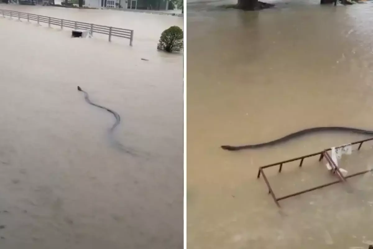 Devasa boyutlarda! Selin vurduğu ülkede kabus görüntüleri