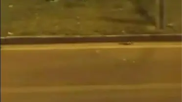 Diyarbakır’da Takla Atan Araçta 1 Yaralı