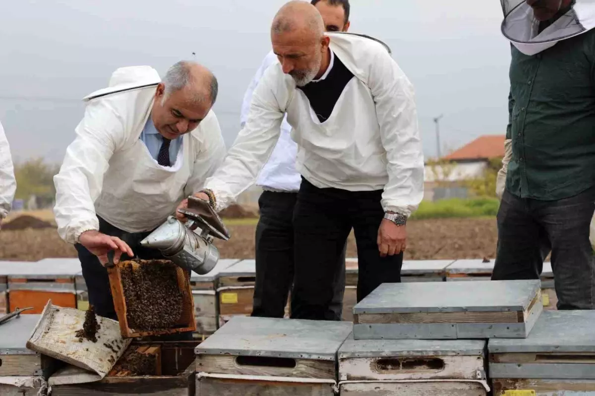Elazığ’da Coğrafi İşaretli Geven Balı Üretimi ve Kış Hazırlıkları Yerinde İncelendi