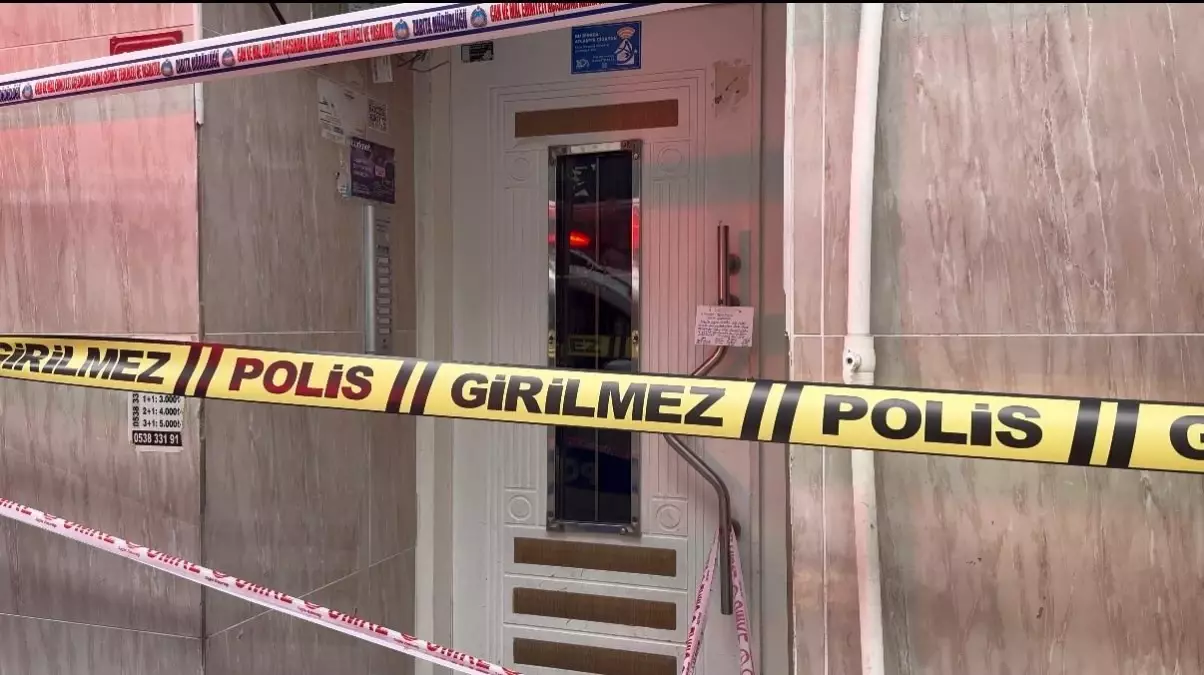 Esenyurt’ta Tahta Kurusu İlaçlaması Zincirleme Zehirlenmelere Yol Açtı