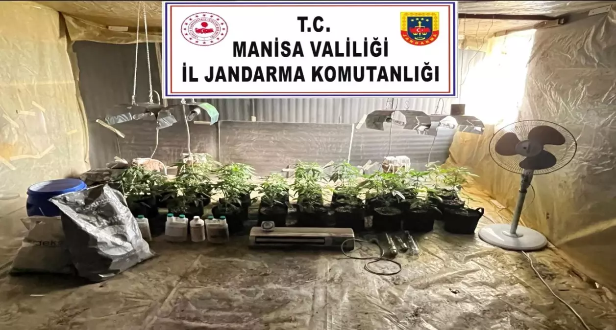 Kenevir Yetiştiricisine Operasyon