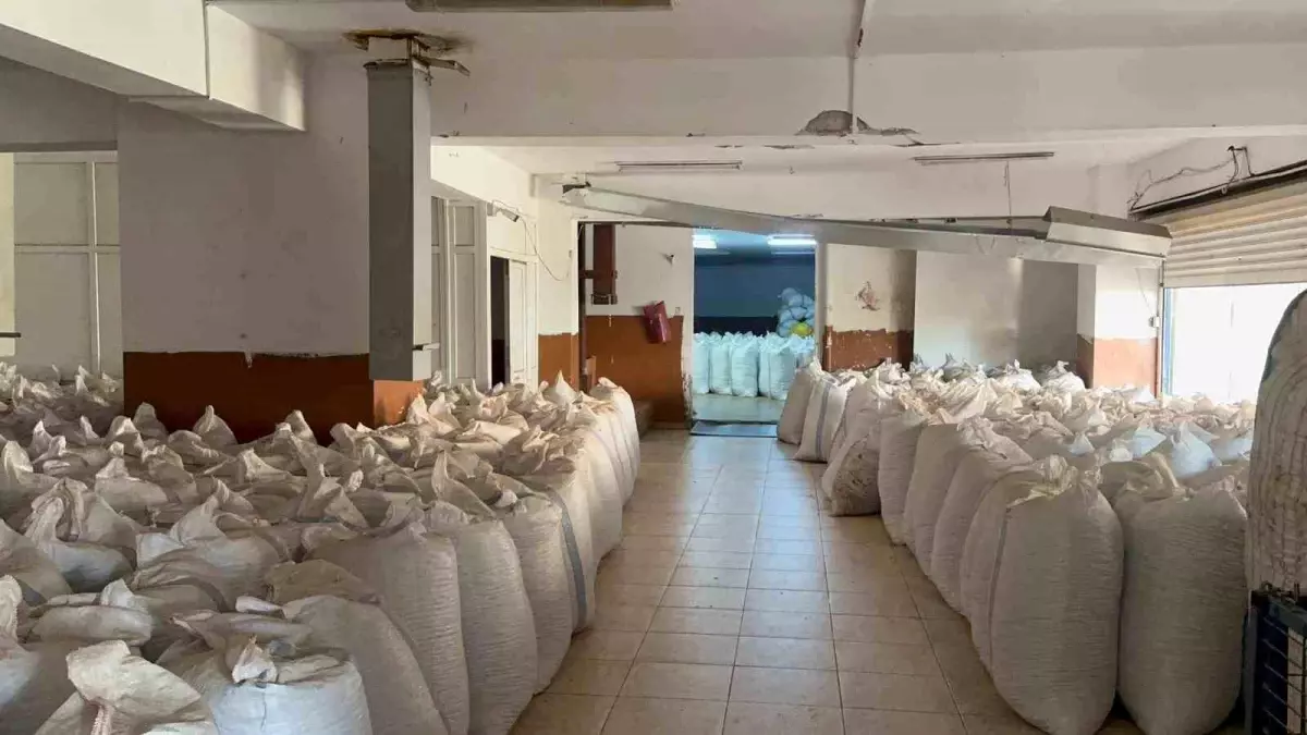 Alaplı’da Fındık Fiyatları Durağan: 280‑285 TL Aralığında Sabit