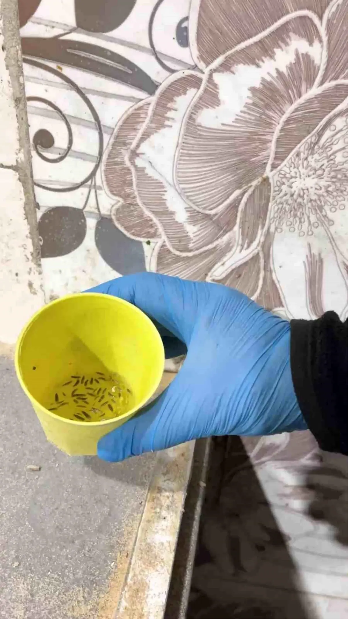 Kırıkhan’da Fırın Denetiminde Şok Görüntüler!