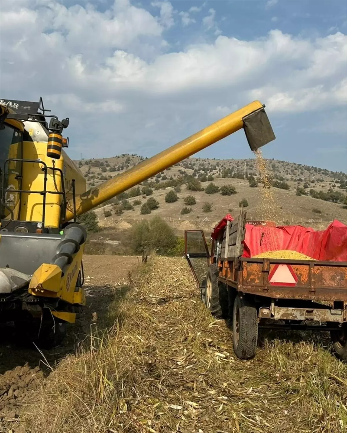 Göynücek’te Mısır Hasadı Kontrolleri