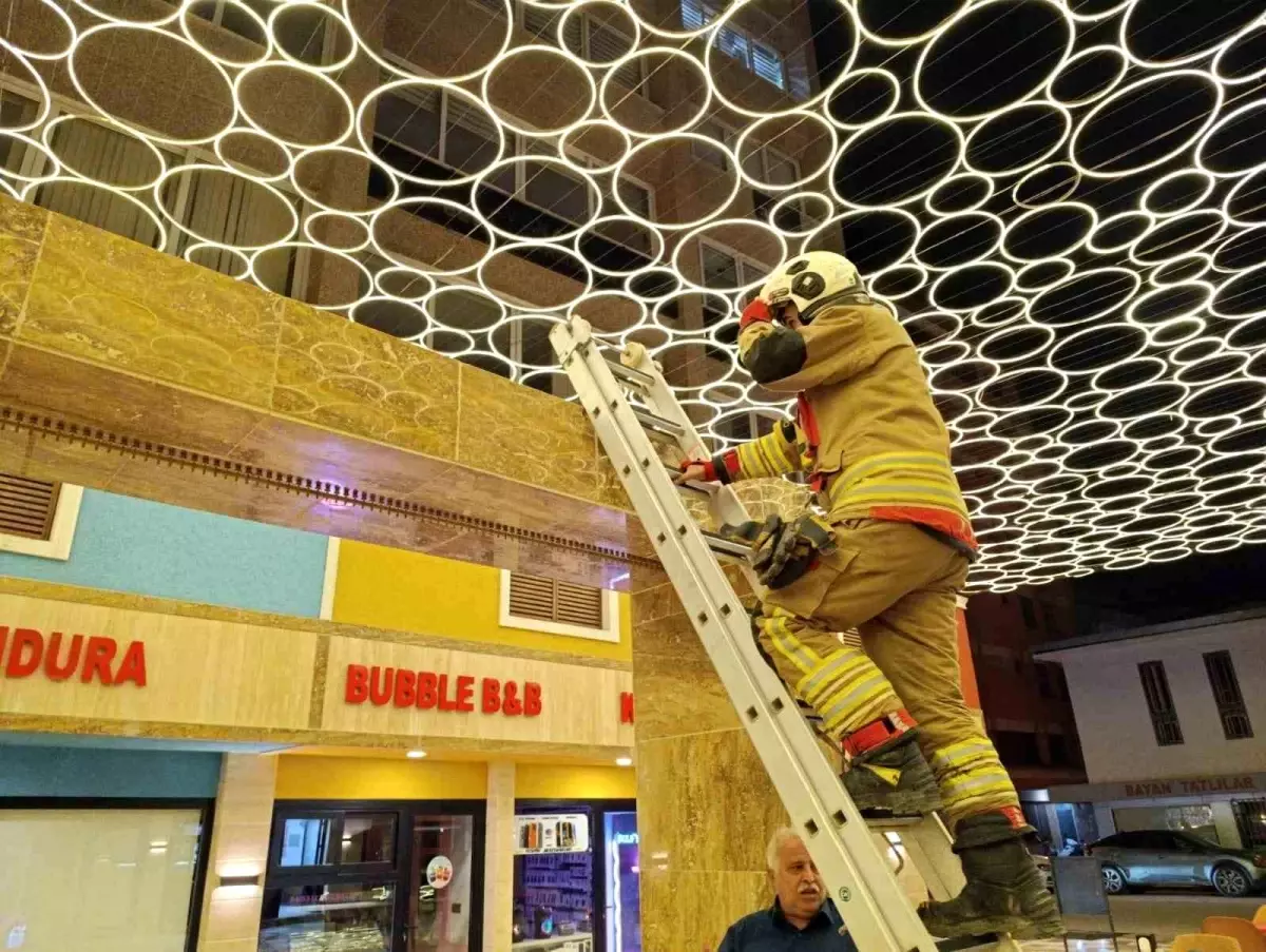 İskenderun’da Duvar Arasına Sıkışan Kedi İtfaiye Ekipleri Tarafından Kurtarıldı