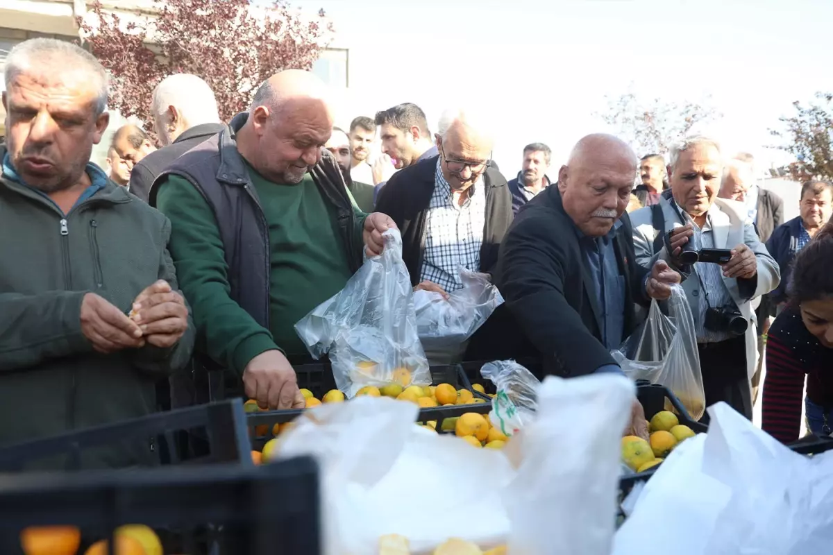 Hatay’da Ücretsiz Mandalina Dağıtımı Vatandaşları Sevindirdi