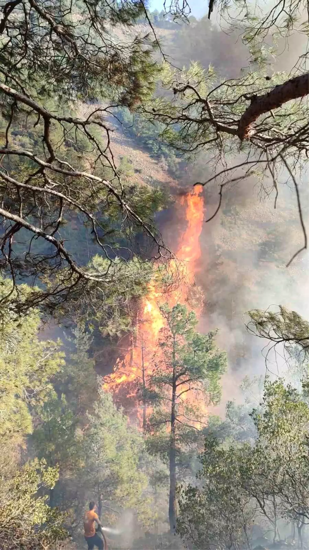 Belen’de Orman Yangınına Müdahale Başladı