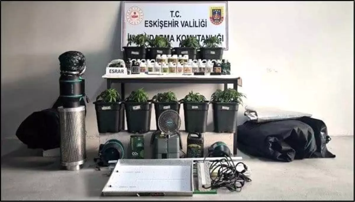 Eskişehir’de Kenevir Operasyonu