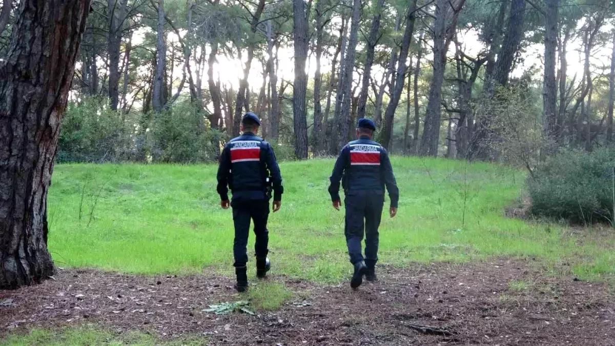 Orman Yangınlarına Karşı Denetimler Artırıldı