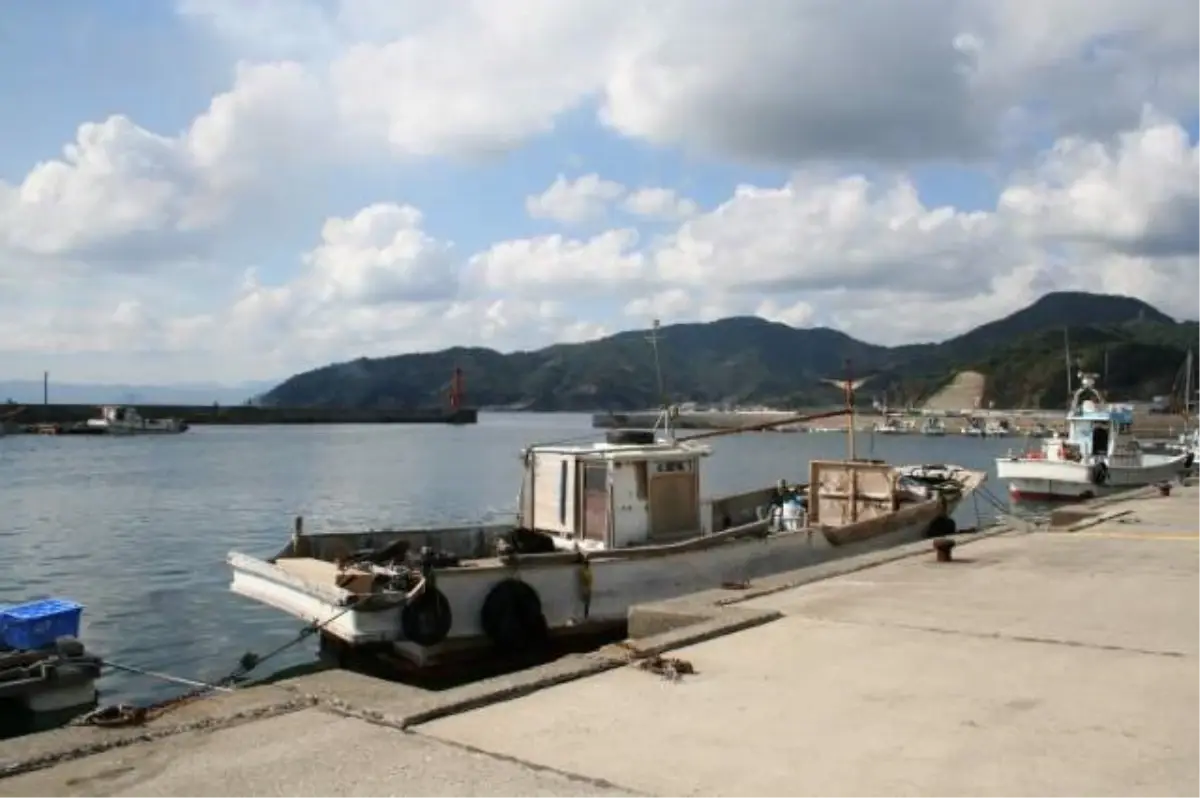 Japonya’da Yangın: 170 Bina Hasar Gördü